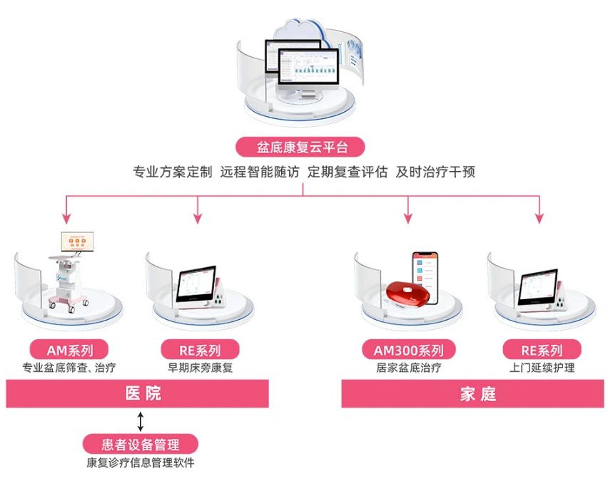 盆底康复学术